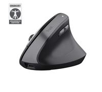 Trust Bayo II souris Médical Droitier RF sans fil Optique 2400 DPI