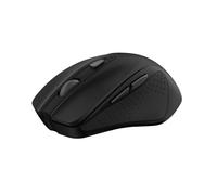Trust Nito souris Universel Droitier RF sans fil Optique 2200 DPI