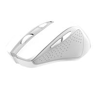 Trust Nito souris Universel Droitier RF sans fil Optique 2200 DPI