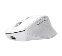 Trust Niven Souris filaire blanc 7 Boutons