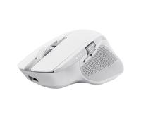 Trust Ozaa+ souris Bureau Droitier RF sans fil + Bluetooth Optique 3200 DPI