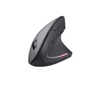 Trust Souris Verto RF Sans Fil Optique 1600 DPI 6 Boutons Noire - Récepteur USB Type-A, 2.4 GHz, portée 10m, 2xAAA, compatible Windows, 116g