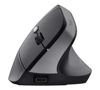 Trust TM-270 souris Bureau Droitier RF sans fil Optique 2400 DPI