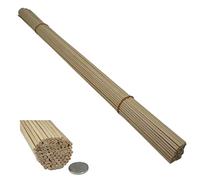Trustleaf Lot de 100 chevilles en bois de bouleau 60 cm x 3 mm