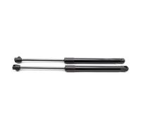 Truvix Capot Capot Struts Lift Supports Amortisseur Ressort à pour gaz Voiture Tige de jambe de force pour Chrysler 300C pour berline