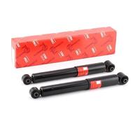 TRW JGT1164T Amortisseur Boîte, Set de 2