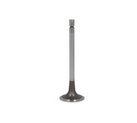 TRW Automotive AfterMarket 160054 Soupape d'admission