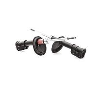 TRW JGM159T 2x Amortisseur Jambe de suspension Pression de gaz Essieu avant Kit amortisseur