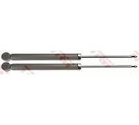 TRW JGT1110T Amortisseur Boîte, Set de 2
