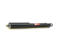 TRW Amortisseur JGT1246S pour Hyundai, Kia