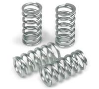 TRW Kit de ressorts d'embrayage MEF306-6 Acier