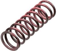 Jeu de ressorts d'embrayage TRW MEF313-6
