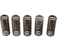 Kit muelles de embrague TRW MEF308-6