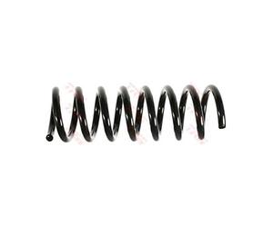 TRW Ressort de suspension JCS220