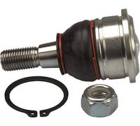 TRW Rotule de suspension Rotule inferieur JBJ182 pour NISSAN PRIMERA (P11) 84mm