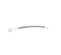 TRW Flexible de frein PHD484