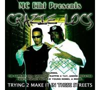 TRYING 2 MAKE IT IN THESE STREETS