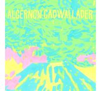 Trying Not to Have a Thought by Algernon Cadwallader [CD] NEUF