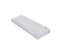 TRyYCB Clavier mécanique sans Fil RVB à échange à Chaud personnalisé avec 3 Modes Compatible avec Les Jeux compatibles avec Les Cadeaux de Joueur sur PC Conception en Aluminium Zoom 65 V3(White)