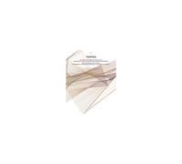 Tsantsa N° 17/2012 - Les Enfants Comme Enjeux Et Comme Acteurs : Appartenances, Relations Interindividuelles Et Logiques Institutionnelles