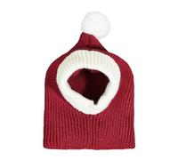 TSBB Chapeaux de chien tricotés de Noël Drôle Mignon Crochet Accessoires d'hiver Chaud Chapeau pour animaux de compagnie Cache-oreilles