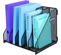 TSDRBWO Porte-revues de bureau en métal avec 5 compartiments verticaux - Organisateur de dossiers de table - Organisateur de classeur pour documents - Organisateur de documents pour le bureau à
