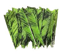 Tsffae Flèches De Chasse en Plumes, 50 Pièces, Bouclier De Palette De Tir À l'arc, Fletchings De pour Chasse, Tir sur Cible, Accessoires De