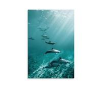 TSIDDKA Poster de dauphins de l'océan - Décoration murale moderne - Cadeau pour un ami - Sans cadre - 30 x 45 cm