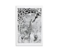 TSIDDKA Poster de girafe baiser - Décoration murale moderne et esthétique - Cadeau pour un ami - Sans cadre - 20 x 30 cm