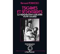 Tsiganes et sédentaires: La reproduction culturelle d'une société