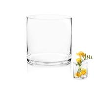 TSKDKIT Vase Transparent en Verre 15 x 15 cm - Cylindrique, Décoratif pour Fleurs et Pampas - Grand Vase Moderne pour Salon