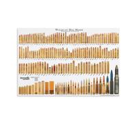 TSNKNP American Standard Bullet Chart Poster Peinture décorative sur toile Art mural pour salon, chambre à coucher, art mural, impression d'image moderne, décoration de salle familiale, 60 x 90 cm