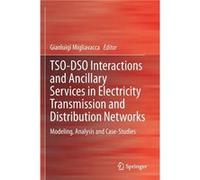 TSODSO Interactions and Ancillary Services in Electricity Transmission and Distribution Networks - Springer Nature Switzerland AG - Springer Nature Switze Springer Nature Switzerland AGSpringer Nature