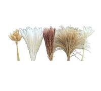 TsoLay 150 PièCes Herbe de la Pampa Boho HomeDecor Fleurs SéChéEs-l'herbe de la Pampa Contient Un Lapin Blanc de la Pampa DéCor de la Pampa Marron