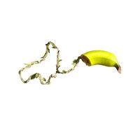 Tsophreniq Abri d'araignées sautantes en forme de banane - Décoration pour terrarium - Accessoires pour reptiles
