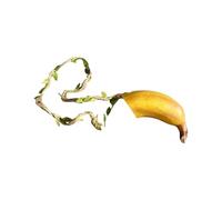 Tsophreniq Abri d'araignées sautantes en forme de banane - Décoration pour terrarium - Accessoires pour reptiles