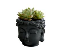 Tsophreniq Statue de Bouddhas Petits Pots de Plante en Résine pour Succulentes et Plantes Miniatures, Style Artistique Bouddhas