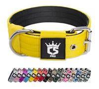 TSPRO Collier Tactique pour Chien avec Boucle en Métal, Collier Réglable pour Chien, Largeur 3,8 cm, Résistant et Confortable pour Les Chiens de Taille Moyenne à Grande (Jaune L)