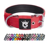 TSPRO Collier Tactique pour Chien avec Boucle en Métal, Collier Réglable pour Chien, Largeur 3,8 cm, Résistant et Confortable pour Les Chiens de Taille Moyenne à Grande (Rouge M)
