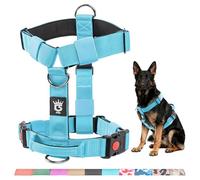 TSPRO Harnais Ultraresistant pour Chien Grande/Moyenne Taille, Anti-Traction, Réglable avec Boucle de Libération Rapide et Poignée, Idéal pour la Promenade et la Course en Plein Air (Bleu S)