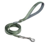 TSPRO Laisse pour Chiens Petits, avec Une Poignée Confortable, Un Clip Métallique Solide et Une Construction Résistante pour Promenade, Course et Entraînement (Vert Taille 1)