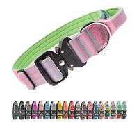 TSPRO Premium Collier pour Chien, Réglable Collier Tactique Chien avec Poignée et Une Solide Boucle Métallique à Libération Rapide, pour Chiens de Taille Moyenne à Grande (Cyan Dégradé L)