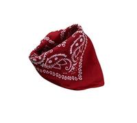 TSSOE 2PCS Déguisement Cowboy Garçon Fille Chapeau Cowboy + Bandana Cow-Boy Tenue Cosplay Ensemble Déguisements pour Enfant Rouge A Taille unique