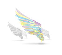 TSUBASA WO MOTSU MONO -NOT AN ANGEL JUST A DREAMER- O.S.T. - Tsubasa Wo Motsu Mono -Not An Angel Just A Dreamer- O.S.T.