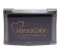 Tsukineko Encre Versacolor Pad-Neptune