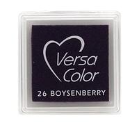 Tsukineko Versasmall Tampon encreur VersaColor Pigment, Petit Cube-Boysenberry