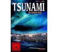 Tsunami- Die tödliche Welle (DVD) Rachael Thompson, Daryl McGwier
