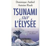 Tsunami sur l'Elysée: Pourvu que ce soit une fiction !