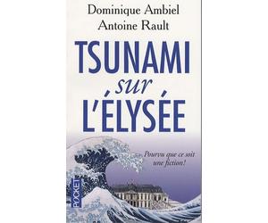 Tsunami sur l'Elysée: Pourvu que ce soit une fiction !