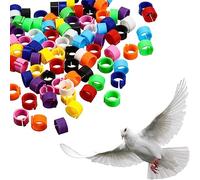 TSUWNO Lot de 100 anneaux de serrage pour volaille - modèle bantam - diamètre 8mm - sans inscription - 10 couleurs pour identifier vos pigeons voyageurs avec un anneau de pied de qualité supérieure.